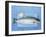 Salmon with a Dish of Sea Salt-Jan-peter Westermann-Framed Photographic Print