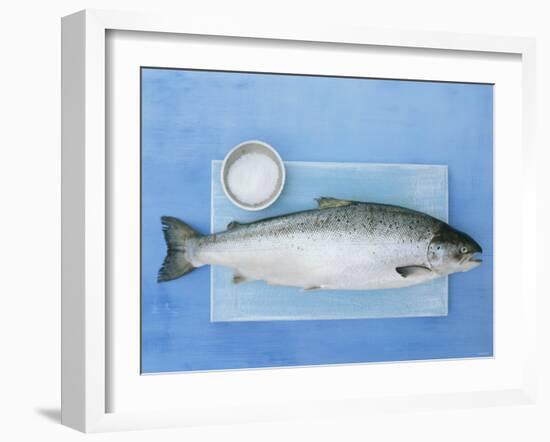 Salmon with a Dish of Sea Salt-Jan-peter Westermann-Framed Photographic Print