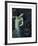 Salome-Franz von Stuck-Framed Premium Giclee Print