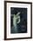 Salome-Franz von Stuck-Framed Premium Giclee Print