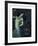 Salome-Franz von Stuck-Framed Premium Giclee Print