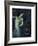 Salome-Franz von Stuck-Framed Premium Giclee Print