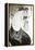 Salome-Aubrey Beardsley-Framed Premier Image Canvas