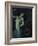 Salome-Franz von Stuck-Framed Giclee Print