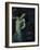 Salome-Franz von Stuck-Framed Giclee Print