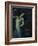 Salome-Franz von Stuck-Framed Giclee Print