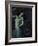 Salome-Franz von Stuck-Framed Giclee Print