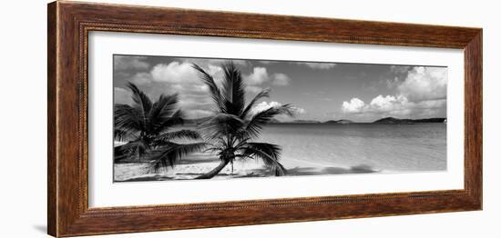 Salomon Beach Us Virgin Islands-null-Framed Photographic Print