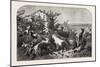 Salon of 1855, Goats, 1855-Filippo Palizzi-Mounted Giclee Print
