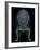 Salon XVI-Arnie Fisk-Framed Art Print