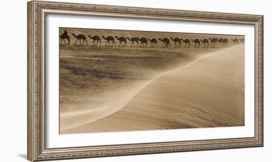 Salt caravan, Sahara Desert, Mali-Art Wolfe-Framed Photographic Print