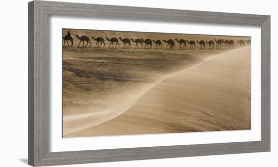 Salt caravan, Sahara Desert, Mali-Art Wolfe-Framed Photographic Print