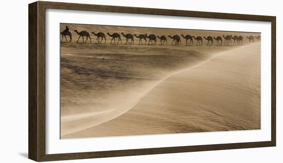 Salt caravan, Sahara Desert, Mali-Art Wolfe-Framed Photographic Print