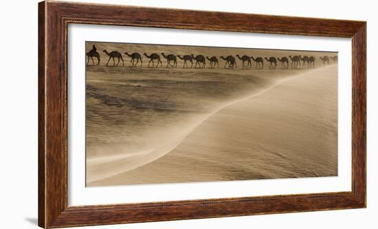 Salt caravan, Sahara Desert, Mali-Art Wolfe-Framed Photographic Print