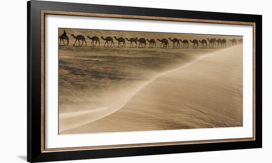 Salt caravan, Sahara Desert, Mali-Art Wolfe-Framed Photographic Print