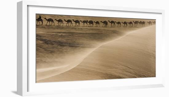 Salt caravan, Sahara Desert, Mali-Art Wolfe-Framed Photographic Print
