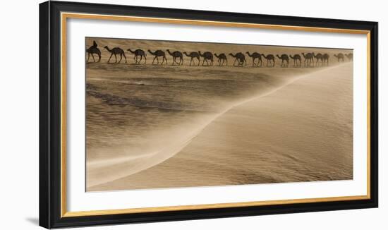 Salt caravan, Sahara Desert, Mali-Art Wolfe-Framed Photographic Print