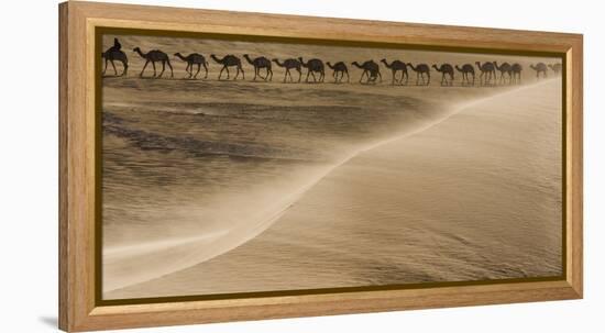 Salt caravan, Sahara Desert, Mali-Art Wolfe-Framed Premier Image Canvas