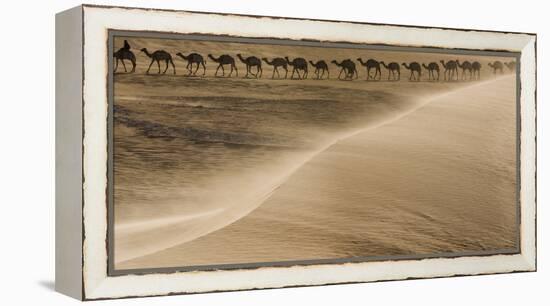 Salt caravan, Sahara Desert, Mali-Art Wolfe-Framed Premier Image Canvas