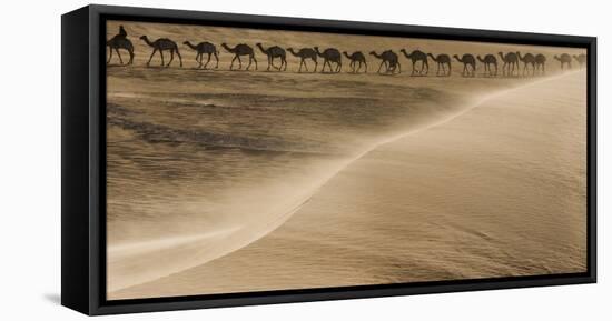 Salt caravan, Sahara Desert, Mali-Art Wolfe-Framed Premier Image Canvas