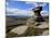 Salt Cellar Rock, Derwent Edge, with Purple Heather Moorland, Peak District National Park, Derbyshi-Neale Clark-Mounted Photographic Print