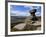 Salt Cellar Rock, Derwent Edge, with Purple Heather Moorland, Peak District National Park, Derbyshi-Neale Clark-Framed Photographic Print