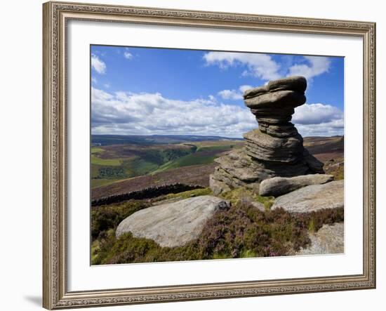 Salt Cellar Rock, Derwent Edge, with Purple Heather Moorland, Peak District National Park, Derbyshi-Neale Clark-Framed Photographic Print