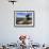 Salt Cellar Rock, Derwent Edge, with Purple Heather Moorland, Peak District National Park, Derbyshi-Neale Clark-Framed Photographic Print displayed on a wall