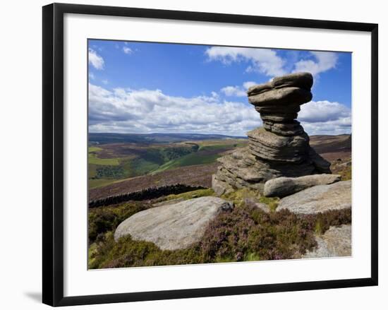 Salt Cellar Rock, Derwent Edge, with Purple Heather Moorland, Peak District National Park, Derbyshi-Neale Clark-Framed Photographic Print