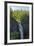 Salt Creek Falls, Willamette National Forest, Oregon, USA-Michel Hersen-Framed Photographic Print