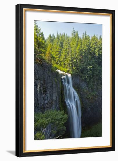 Salt Creek Falls, Willamette National Forest, Oregon, USA-Michel Hersen-Framed Photographic Print