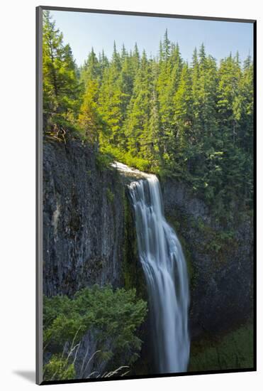 Salt Creek Falls, Willamette National Forest, Oregon, USA-Michel Hersen-Mounted Photographic Print