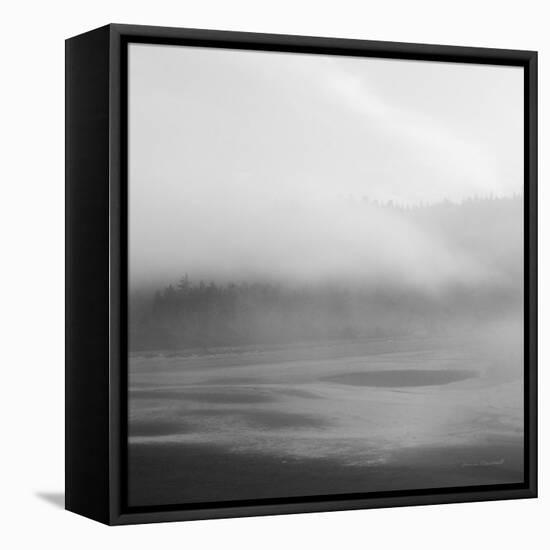 Salt Creek I-Laura Marshall-Framed Premier Image Canvas
