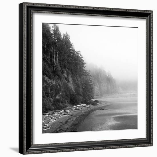 Salt Creek III-Laura Marshall-Framed Photographic Print