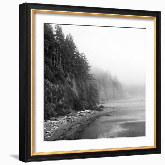 Salt Creek III-Laura Marshall-Framed Photographic Print