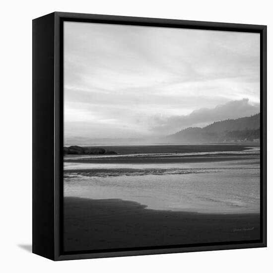 Salt Creek IV-Laura Marshall-Framed Premier Image Canvas