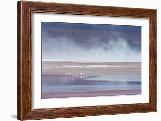 Salt Dust Shrouds James' Flamingos Foraging in Laguna Colorada-Alex Saberi-Framed Photographic Print