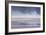 Salt Dust Shrouds James' Flamingos Foraging in Laguna Colorada-Alex Saberi-Framed Photographic Print