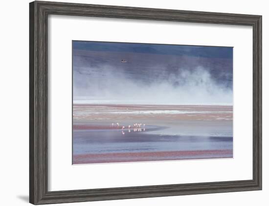 Salt Dust Shrouds James' Flamingos Foraging in Laguna Colorada-Alex Saberi-Framed Photographic Print