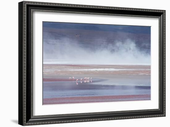 Salt Dust Shrouds James' Flamingos Foraging in Laguna Colorada-Alex Saberi-Framed Photographic Print