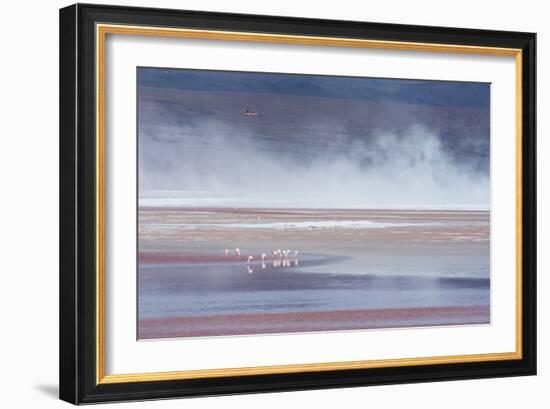 Salt Dust Shrouds James' Flamingos Foraging in Laguna Colorada-Alex Saberi-Framed Photographic Print
