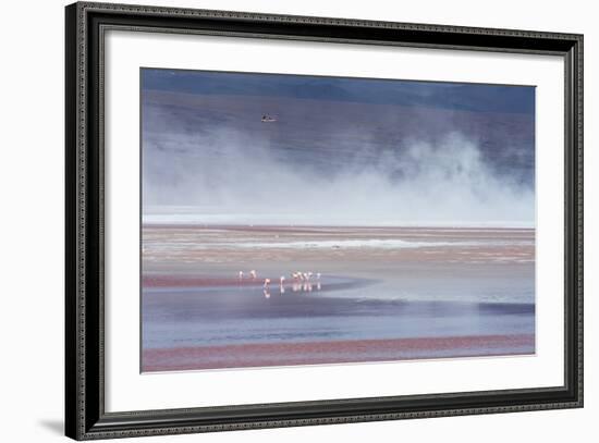 Salt Dust Shrouds James' Flamingos Foraging in Laguna Colorada-Alex Saberi-Framed Photographic Print