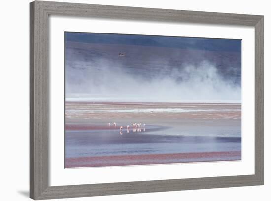 Salt Dust Shrouds James' Flamingos Foraging in Laguna Colorada-Alex Saberi-Framed Photographic Print