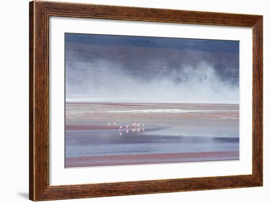 Salt Dust Shrouds James' Flamingos Foraging in Laguna Colorada-Alex Saberi-Framed Photographic Print