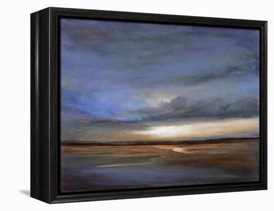 Salt Flats-Sheila Finch-Framed Stretched Canvas