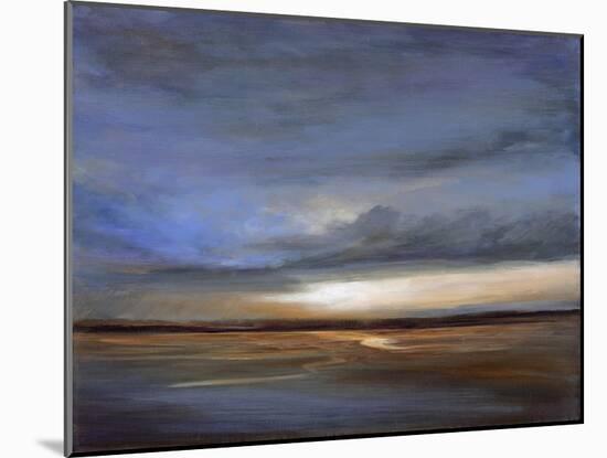 Salt Flats-Sheila Finch-Mounted Art Print