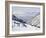 Salt Lake Valley and Fresh Powder Tracks at Alta, Alta Ski Resort, Salt Lake City, Utah, USA-Kober Christian-Framed Photographic Print