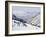 Salt Lake Valley and Fresh Powder Tracks at Alta, Alta Ski Resort, Salt Lake City, Utah, USA-Kober Christian-Framed Photographic Print