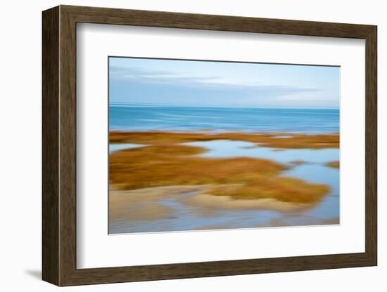 Salt Marsh Abstract-Brooke T. Ryan-Framed Photographic Print