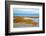 Salt Marsh Abstract-Brooke T. Ryan-Framed Photographic Print